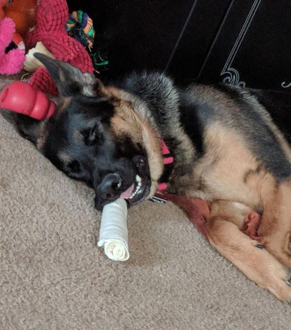 gallery/Ava-03-Web-Ready