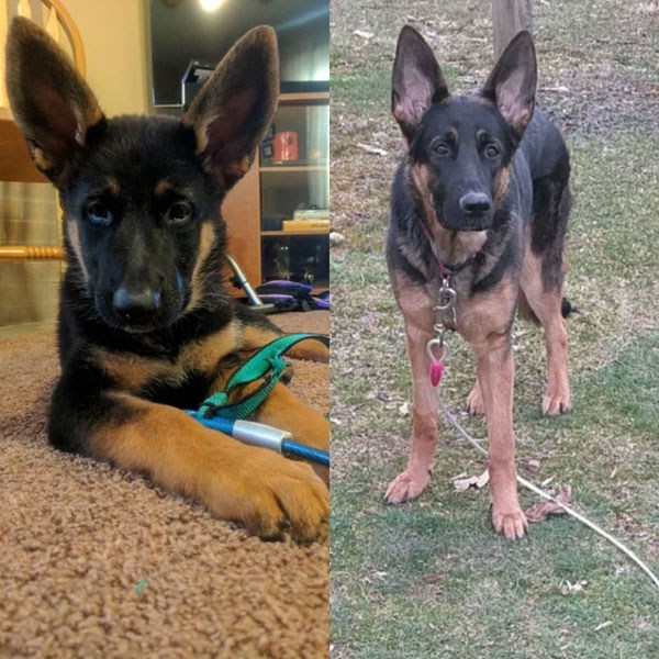 gallery/Ava-01-Web-Ready